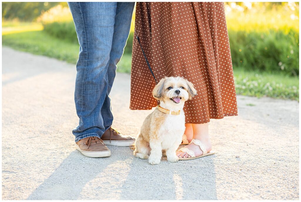 Sioux City Engagement Photos at Adams Nature Preserve with Dog